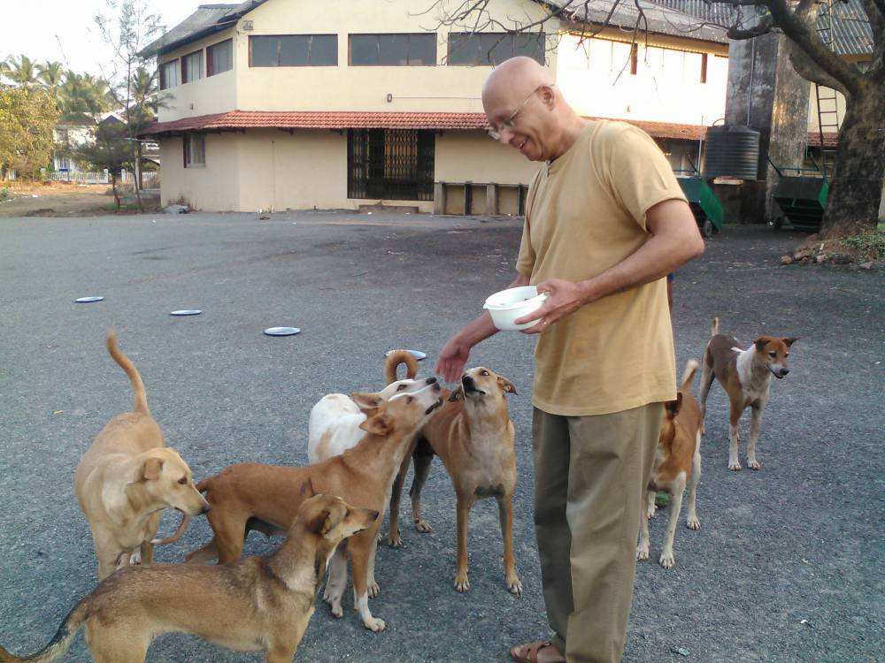 Bannu feeds the neighbourhood dogs