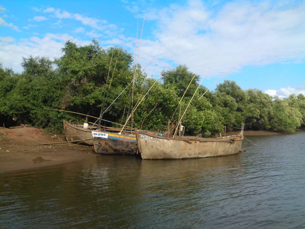 Boats at the ferry docks